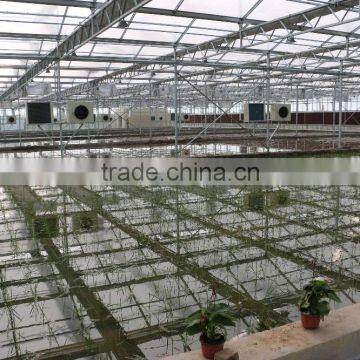 Single-Span Agricultural Planting Plastic Greenhouse photo-6