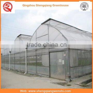 Agriculture Equipment Multi-span 6.0m Plastic PE Film Agriculture Greenhouse for Sale photo-4