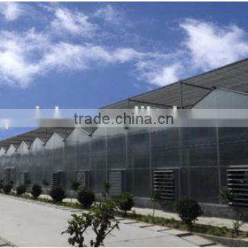 PE film greenhouse for sale