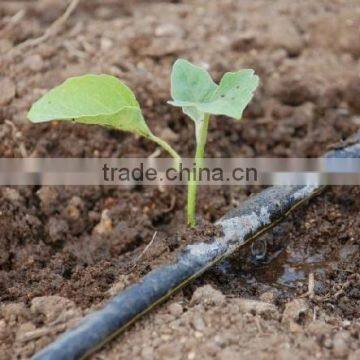 Drip Irrigation PE Pipe photo-3