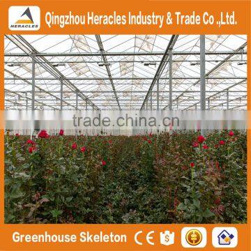 Heracles Trade Assurance Venlo Greenhouse photo-2