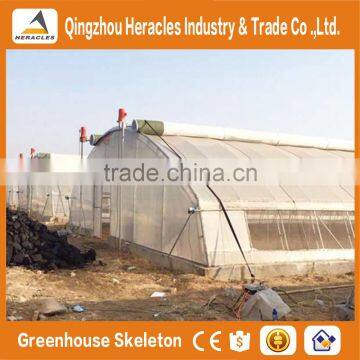 Heracles Economical Plastic Commercial Low Cost Multi Span Plastic Greenhouses With Automatic Irrigation System photo-4