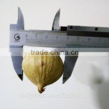 Korean Hot Sale Solo Black Garlic in Selling photo-5
