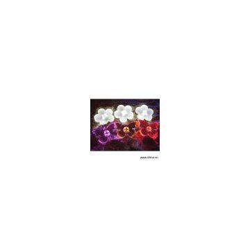 Sell LED Flower and Butterfly Garden Lights