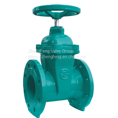 Resilient Seated Gate Valve