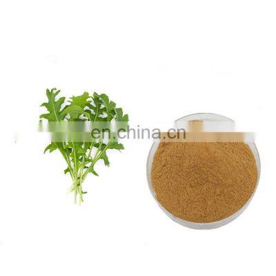 Factory Supply Whole Sale Price Arugula Extract Powder