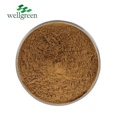 Ligusticum Wallichii Ectract Rhizoma Chuanxiong Extract 10: 1 Ligusticum Chuanxiong Extract photo-2