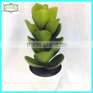 25cm high quality real touch succulent plants