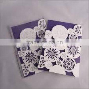 Automatic Video Camera Laser Cutting Machine for Paper Cutting