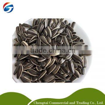 wholesale sunflower seeds sunflower seeds for roasting