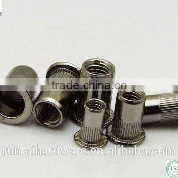 Competitive price stainless steel rivet head screw