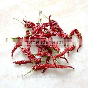 red chilli