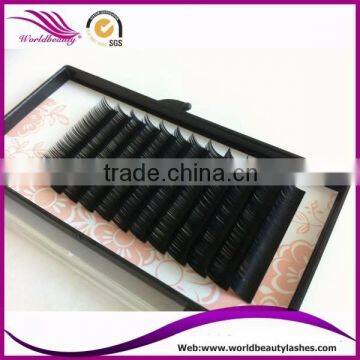 Top Quality Wholesale Price Eyelash Extension photo-4