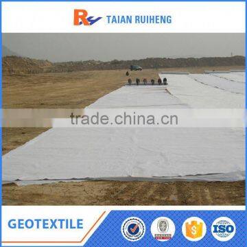 Eco-Friendly Non Woven Pet Geotextile Felt Factory photo-3
