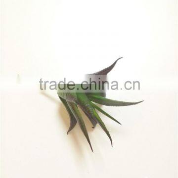 Popular High Simulation Artificial Succulent Plant From China Manufacture photo-6