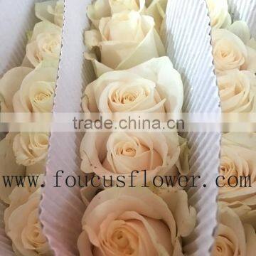 Wide Varieties Rose Cut White Rose Cut Diamond From Yunnan