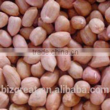 Shandong Baisha Peanut kernels With best price