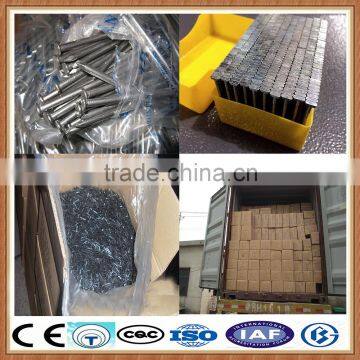 Common Roofing Steel Nail photo-2