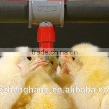 Professional Design Galvanized Layer Chicken Cage