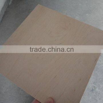 shandong best price of birch veneer plywood to africa and UAE market