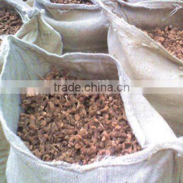 Guangdong Natural Galangal Roots