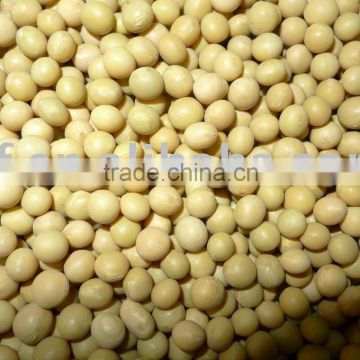 Non-Gmo soybeans