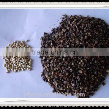 Buckwheat Market Price photo-3