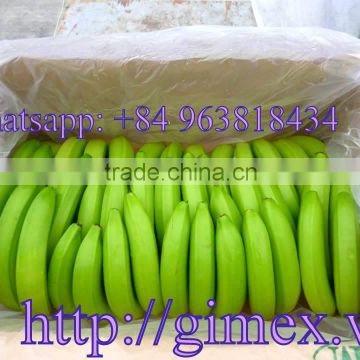 Vietnam best quality fresh cavendish banana