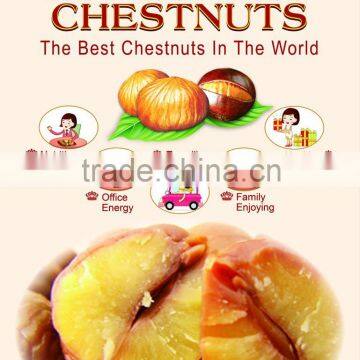 Roasted Peeled Chestnuts Snacks,Ready to Eat Snacks, Organic Snacks for Sale photo-6
