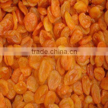 Organic best price Dried Apricots