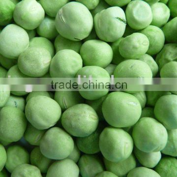 Freeze Dried pea