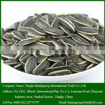 2015 New Crop 5009 Roasted and Salted Sunflower Seeds for sale