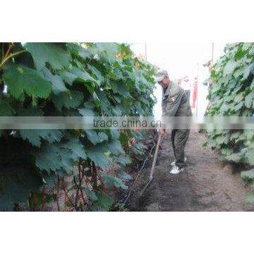 Nitrogenous Manure, N46 Urea Agricultural Grade photo-3