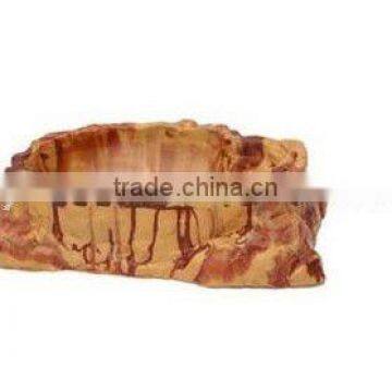 reptile dish