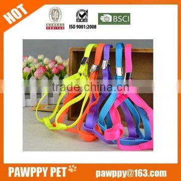 Nylon Rope Dog Leash and Harness photo-5
