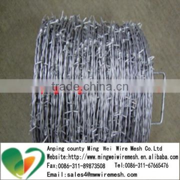 Over 15 years manufacturer experience steel Strand galvanized barbed wire