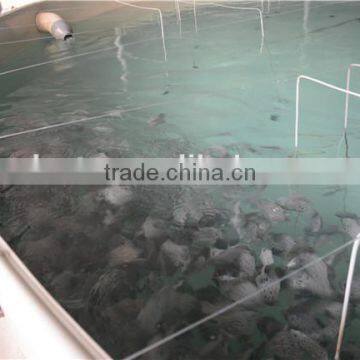 Recirculating Aquaculture Systems Suppliers photo-3