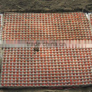 Waste Paper Egg Boxes/cartons photo-4