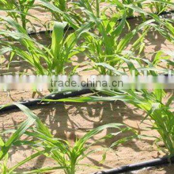High Quality Drip Irrigation System for Farm photo-5