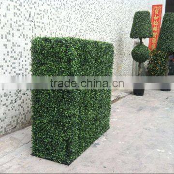 CHY040819 Home Artificial Hedge, Garden Golden Grass Hedge Suppliers photo-4