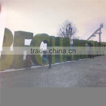 2017 China Wholesale Artificial Multi-purpose and Hydraulic Hedge Trimmer photo-6