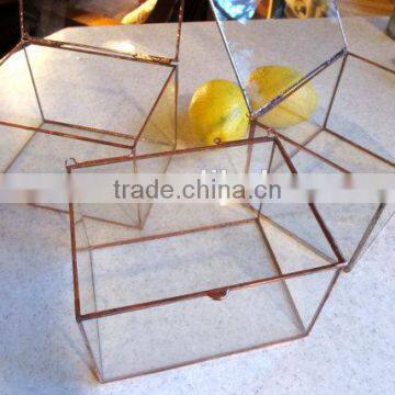 Hinged Top Jewelry Collections 3" to 4" Deep Smaller Size Clear Glass Terrarium photo-3