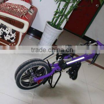 Made for Taiwan folding bike,exercise bike ,foldable bicycle