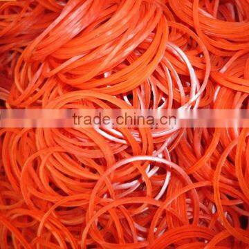 Broccoli Money Band photo-2