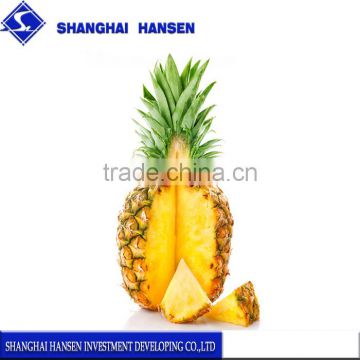 Fresh pineapple import agency china trade agent foreign trade