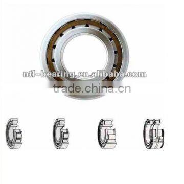 SL045034 PP cylindrical roller bearing