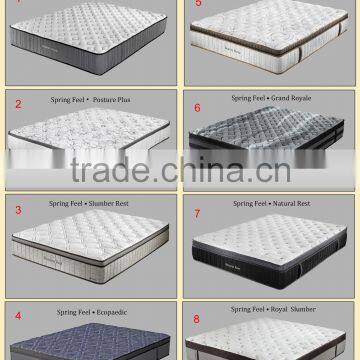 Chinese OEM Modern Furniture Design Euro Top Spring Mattress photo-6