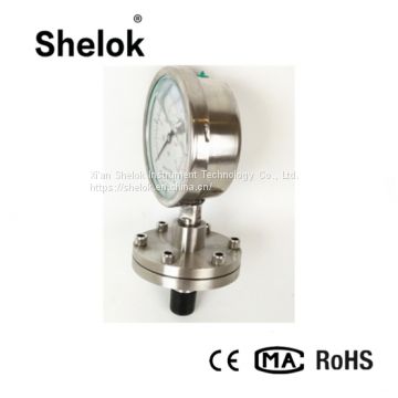 150mm Diaphragm Flange Pressure Gauges