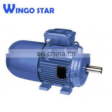 Windlass 2P, 4P, 6P, 8P, 10P, 12P 400kw Electric Motor photo-5