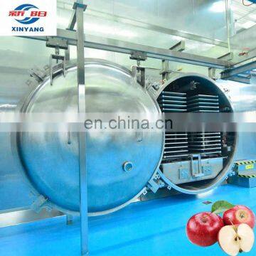 China Industrial Continuous Freeze Drying Fruit Machine Price for Sale With3000kg Capacity photo-3
